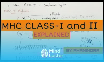 MHC Major Histocompatibility Complex molecules MHC class 1 and MHC class 2