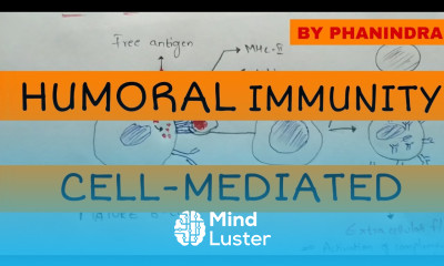 Humoral immunity and cell mediated immunity