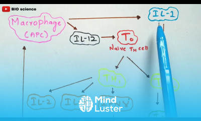 Cytokines Bio science