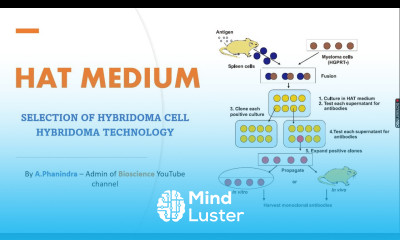 HAT medium for hybridoma selection and its functions in Hybridoma technology Bio science