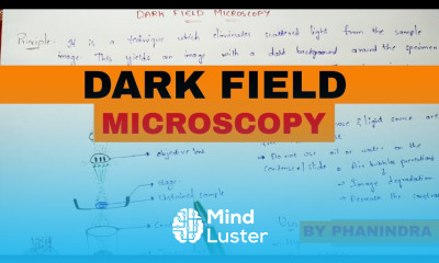 Dark field microscopy Principle Working Precautions and uses