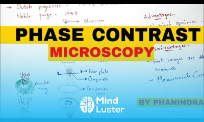 Phase contrast microscopy Principle Mechanism Advantages and disadvantages