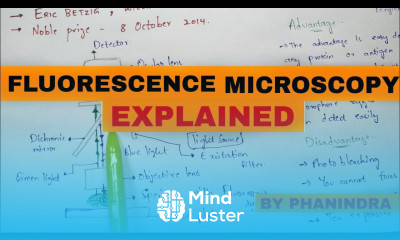 fluorescence microscopy Mechanism Advantages and disadvantages