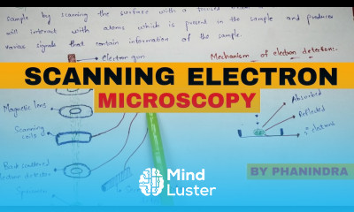 Scanning electron microscopy SEM Principle mechanism