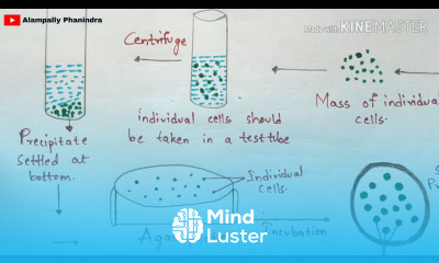 Cell suspension culture Technique involved Notes Procedure Bioreactor Bio science