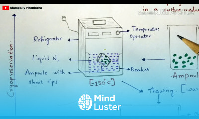 Cryopreservation technique with notes Diagrammatic procedure Applications Bio science