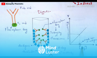 Immunoflourescence Assay Principle Procedure By phanindra gupta Bio science