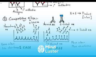 ELISA test Principle Types of ELISA test By Phanindra gupta Bio science