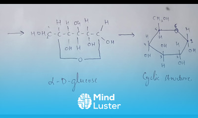 PART 2 ANOMERISM AND CYCLIC STRUCTURES OF MONOSACHRIDES BIOCHEMISTRY BY PHANINDRA GUPTA