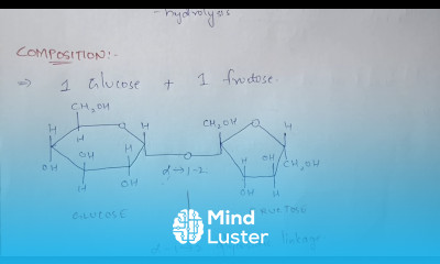PART 6 SUCROSE AND TREHALOSE DISACCHRIDES BIOCHEMISTRY BY PHANINDRA GUPTA