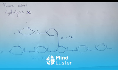 PART 7 STARCH GLYCOGEN CELLULOSE POLYSACHRIDES BIOCHEMISTRY BY PHANINDRA GUPTA