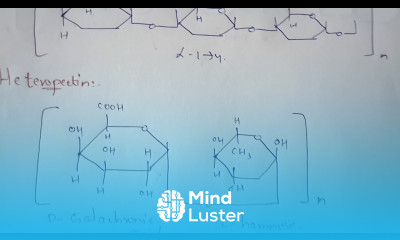PART 8 INULIN DEXTRINS PECTIN CHITIN POLYSACCHRIDES CARBOHYDRATES BIOCHEMISTRY