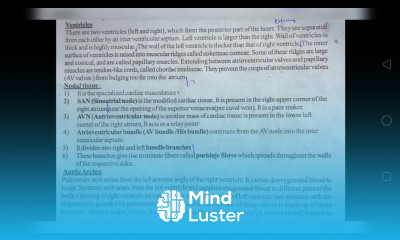 NOTES FOR STRUCTURE OF HEART internal and external structure INTER 2ND YEAR BY PHANINDRA GUPTA