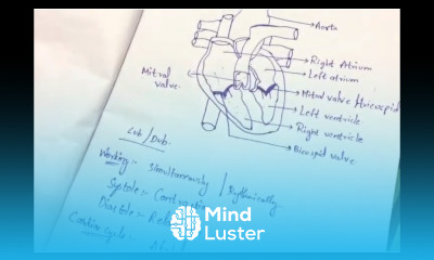 Structure and working of Heart By Phanindra gupta