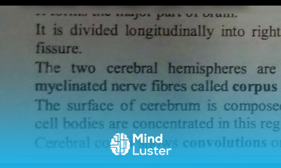 NOTES FOR STRUCTURE OF BRAIN AND ITS FUNCTIONS BY PHANINDRA GUPTA