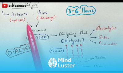 What is dialysis Dialysis procedure Bio science