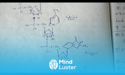 STRUCTURES OF DNA AND RNA DIFFERENCES BIOTECHNOLOGY BY PHANINDRA GUPTA