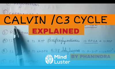 CALVIN CYCLE C3 CYCLE BY PHANINDRA GUPTA