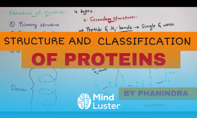 What are proteins STRUCTURES CLASSIFICATION EXAMPLES BY PHANINDRA GUPTHA