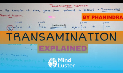 Transamination reaction By Phanindra gupta