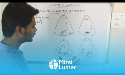 EXPERIMENT FOR PHOTOSYNTHESIS BY PHANINDRA