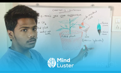 EXPERIMENT 1 proving of carbondioxide BY PHANINDRA