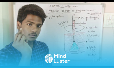EXPERIMENT 2 HYDRILLA EPERIMENT BY PHANINDRA