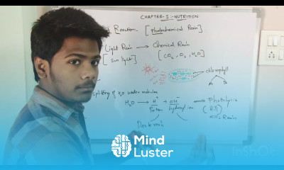 LIGHT DEPENDENT AND INDEPENDENT REACTION BY PHANINDRA