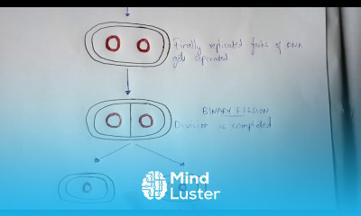 LYSOGENIC CYCLE BY PHANINDRA GUPTHA