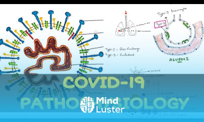 Covid 19 Corona virus Structure and Pathophysiology Bio science