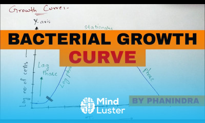 Bacterial growth curve Explained