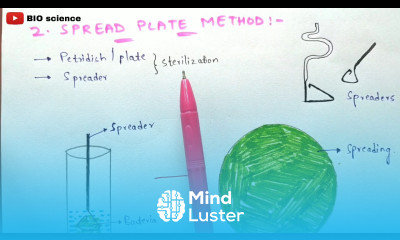 Bacterial cell culture methods Streak plate spread plate and pour plate methods Bio science