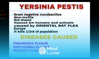 YERSINIA PESTIS BLACK DEATH BY PHANINDRA GUPTHA