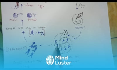 SCHISTOSOMIASIS BILHARZIA BY PHANINDRA GUPTA