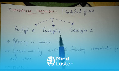 SALMONELLA TYPHI AND PARATYPHI STRUCTURE SYMPTOMS TREATMENT LIFE CYCLE BY PHANINDRA GUPTHA