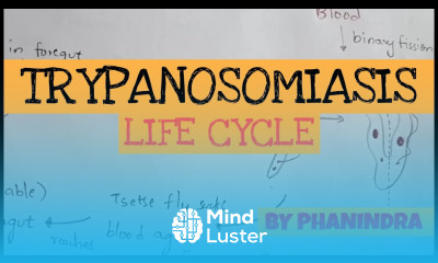 TRYPANOSOMIASIS STRUCTURE LIFE CYCLE SYMPTOMS TREATMENT BY PHANINDRA GUPTA