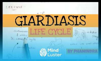 GIARDIASIS STRUCTURE LIFE CYCLE SYMPTOMS DIAGNOSIS TREATMENT BY PHANINDRA GUPTA