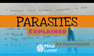 What are Parasites Classification of parasites Types of parasitic infections