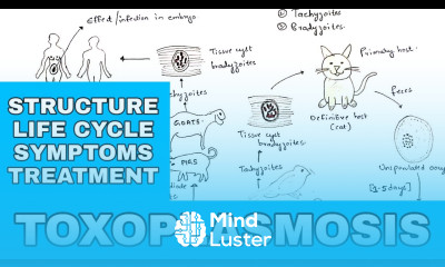 Toxoplasmosis Toxoplasma gondii Structure Life cycle Symptoms Treatment Bio science