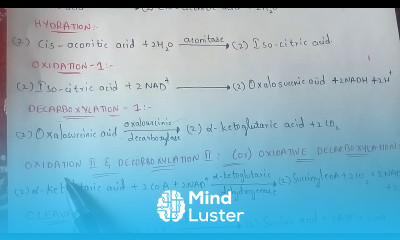 KREBS CYCLE BY PHANINDRA GUPTHA