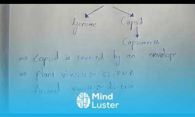 STRUCTURE OF VIRUS BY PHANINDRA GUPTHA