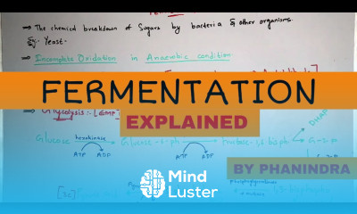 FERMENTATION BY PHANINDRA GUPTHA