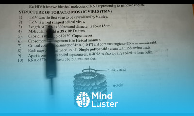 STRUCTURE OF TMV Tobaco Mosaic Virus BY PHANINDRA GUPTHA