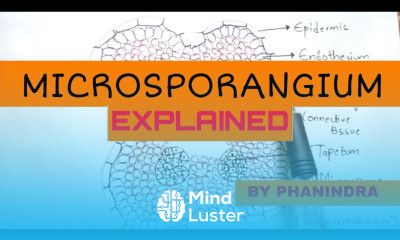 Microsporangium Structure and microsporogenesis By Phanindra gupta