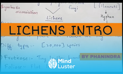 Lichens introduction Types and Importance By Phanindra guptha