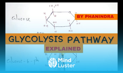Structural pathway of Glycolysis EMP pathway By Phanindra guptha