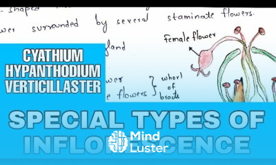 Special types of inflorescence Cyathium Hypanthodium Verticillaster Bio science