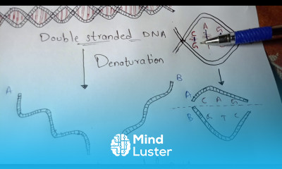 DENATURATION AND RENATURATION BY PHANINDRA GUPTHA