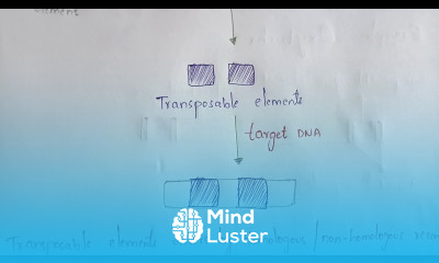 STRUCTURE OF TRANSPOSONES DNA AND RETERO TRANSPOSOSNES BY PHANINDRA GUPTA