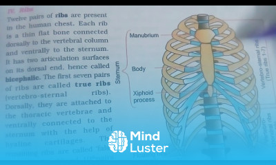 RIBS BY PHANINDRA GUPTHA